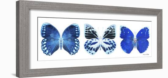 Miss Butterfly X-Ray Panoramic White II-Philippe Hugonnard-Framed Photographic Print