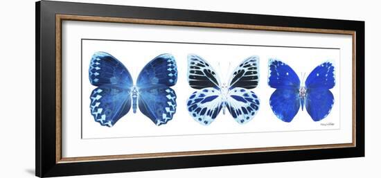 Miss Butterfly X-Ray Panoramic White II-Philippe Hugonnard-Framed Photographic Print