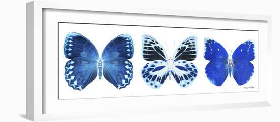 Miss Butterfly X-Ray Panoramic White II-Philippe Hugonnard-Framed Photographic Print