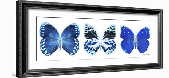 Miss Butterfly X-Ray Panoramic White II-Philippe Hugonnard-Framed Photographic Print