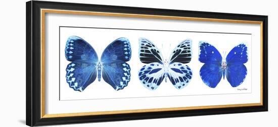 Miss Butterfly X-Ray Panoramic White II-Philippe Hugonnard-Framed Photographic Print