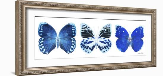 Miss Butterfly X-Ray Panoramic White II-Philippe Hugonnard-Framed Premium Photographic Print