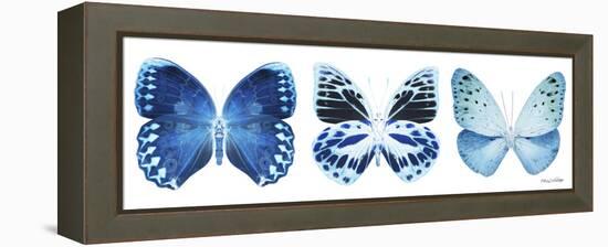 Miss Butterfly X-Ray Panoramic White III-Philippe Hugonnard-Framed Premier Image Canvas