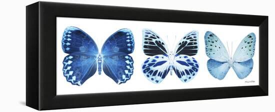 Miss Butterfly X-Ray Panoramic White III-Philippe Hugonnard-Framed Premier Image Canvas