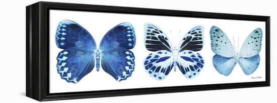 Miss Butterfly X-Ray Panoramic White III-Philippe Hugonnard-Framed Premier Image Canvas