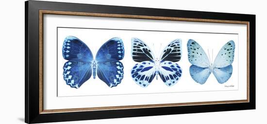 Miss Butterfly X-Ray Panoramic White III-Philippe Hugonnard-Framed Photographic Print