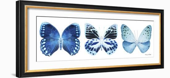 Miss Butterfly X-Ray Panoramic White III-Philippe Hugonnard-Framed Photographic Print