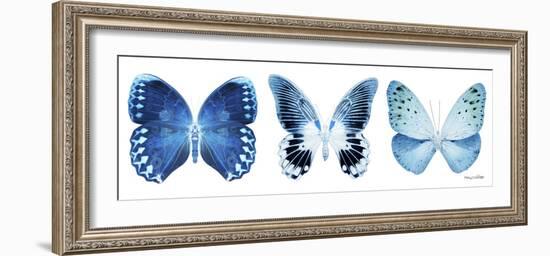 Miss Butterfly X-Ray Panoramic White IV-Philippe Hugonnard-Framed Photographic Print