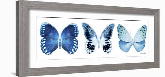 Miss Butterfly X-Ray Panoramic White IV-Philippe Hugonnard-Framed Photographic Print