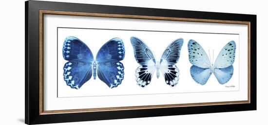 Miss Butterfly X-Ray Panoramic White IV-Philippe Hugonnard-Framed Photographic Print