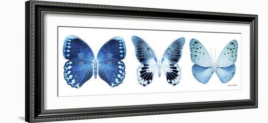 Miss Butterfly X-Ray Panoramic White IV-Philippe Hugonnard-Framed Photographic Print