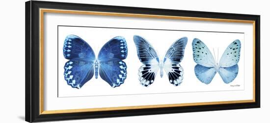 Miss Butterfly X-Ray Panoramic White IV-Philippe Hugonnard-Framed Photographic Print