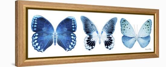 Miss Butterfly X-Ray Panoramic White IV-Philippe Hugonnard-Framed Premier Image Canvas