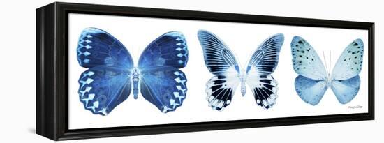 Miss Butterfly X-Ray Panoramic White IV-Philippe Hugonnard-Framed Premier Image Canvas