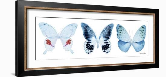 Miss Butterfly X-Ray Panoramic White-Philippe Hugonnard-Framed Photographic Print