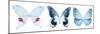 Miss Butterfly X-Ray Panoramic White-Philippe Hugonnard-Mounted Photographic Print