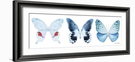 Miss Butterfly X-Ray Panoramic White-Philippe Hugonnard-Framed Photographic Print