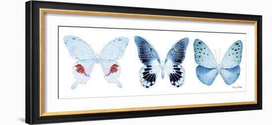 Miss Butterfly X-Ray Panoramic White-Philippe Hugonnard-Framed Photographic Print