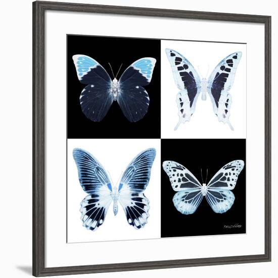 Miss Butterfly X-Ray Square II-Philippe Hugonnard-Framed Photographic Print