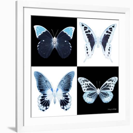 Miss Butterfly X-Ray Square II-Philippe Hugonnard-Framed Photographic Print