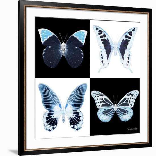 Miss Butterfly X-Ray Square II-Philippe Hugonnard-Framed Photographic Print