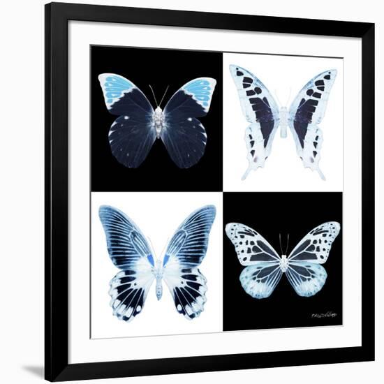 Miss Butterfly X-Ray Square II-Philippe Hugonnard-Framed Photographic Print