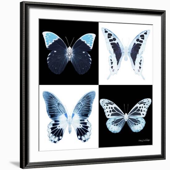 Miss Butterfly X-Ray Square II-Philippe Hugonnard-Framed Photographic Print