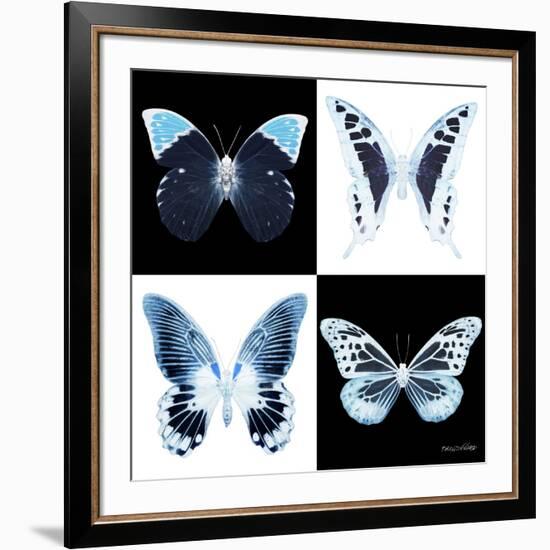 Miss Butterfly X-Ray Square II-Philippe Hugonnard-Framed Photographic Print