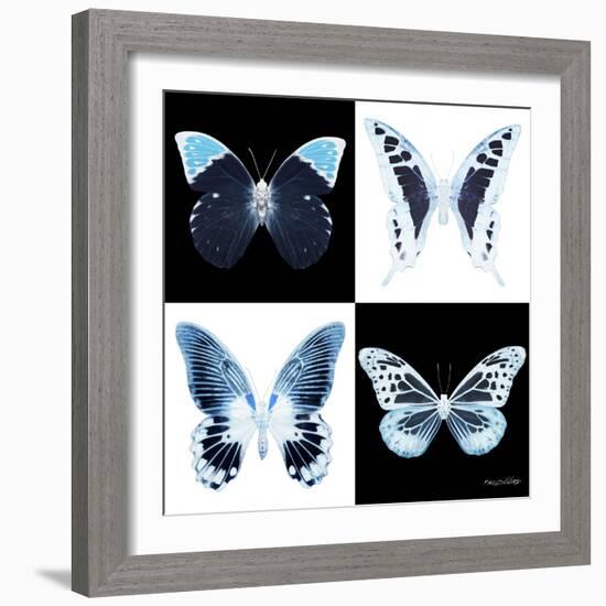 Miss Butterfly X-Ray Square II-Philippe Hugonnard-Framed Photographic Print