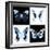 Miss Butterfly X-Ray Square II-Philippe Hugonnard-Framed Photographic Print