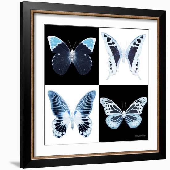 Miss Butterfly X-Ray Square II-Philippe Hugonnard-Framed Photographic Print