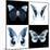 Miss Butterfly X-Ray Square II-Philippe Hugonnard-Mounted Photographic Print