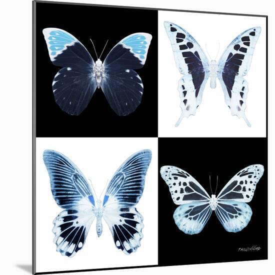Miss Butterfly X-Ray Square II-Philippe Hugonnard-Mounted Photographic Print