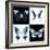 Miss Butterfly X-Ray Square II-Philippe Hugonnard-Framed Photographic Print