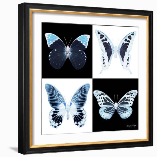 Miss Butterfly X-Ray Square II-Philippe Hugonnard-Framed Photographic Print