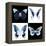 Miss Butterfly X-Ray Square II-Philippe Hugonnard-Framed Stretched Canvas