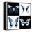 Miss Butterfly X-Ray Square II-Philippe Hugonnard-Framed Stretched Canvas