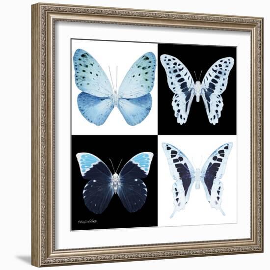 Miss Butterfly X-Ray Square-Philippe Hugonnard-Framed Photographic Print