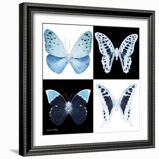 Miss Butterfly X-Ray Square-Philippe Hugonnard-Framed Photographic Print