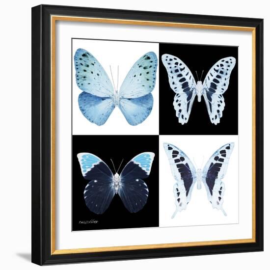 Miss Butterfly X-Ray Square-Philippe Hugonnard-Framed Photographic Print