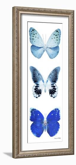 Miss Butterfly X-Ray White Pano II-Philippe Hugonnard-Framed Photographic Print