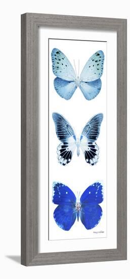 Miss Butterfly X-Ray White Pano II-Philippe Hugonnard-Framed Photographic Print