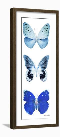 Miss Butterfly X-Ray White Pano II-Philippe Hugonnard-Framed Photographic Print