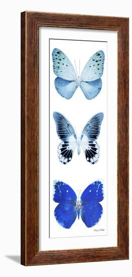 Miss Butterfly X-Ray White Pano II-Philippe Hugonnard-Framed Photographic Print