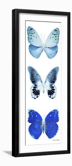 Miss Butterfly X-Ray White Pano II-Philippe Hugonnard-Framed Photographic Print