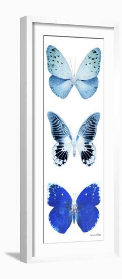 Miss Butterfly X-Ray White Pano II-Philippe Hugonnard-Framed Photographic Print