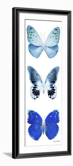 Miss Butterfly X-Ray White Pano II-Philippe Hugonnard-Framed Photographic Print