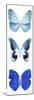 Miss Butterfly X-Ray White Pano II-Philippe Hugonnard-Mounted Premium Photographic Print