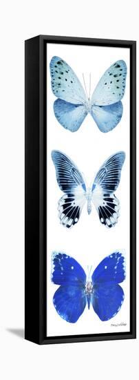 Miss Butterfly X-Ray White Pano II-Philippe Hugonnard-Framed Stretched Canvas