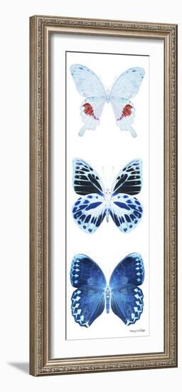 Miss Butterfly X-Ray White Pano-Philippe Hugonnard-Framed Photographic Print